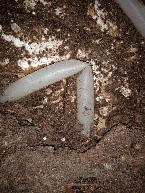 英吉沙堵点精准查找